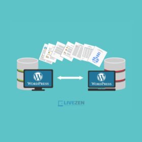 WordPress Website Migration